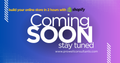 Build Your Online Store in 2 hours With Shopify